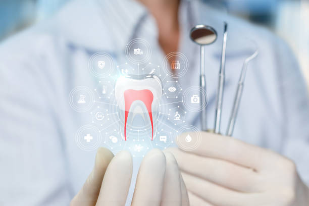 Why Choose Us for Your Dental Needs in Bristol, CT